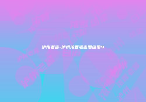 泸州老窖-泸州浓香老窖酒绵柔9
