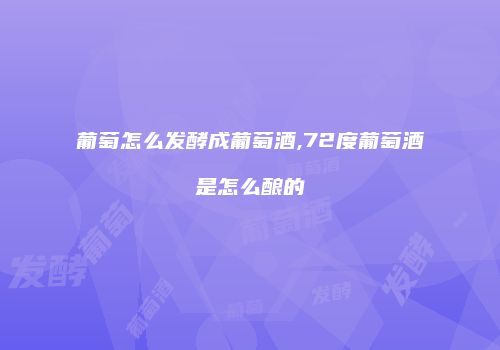 葡萄怎么发酵成葡萄酒,72度葡萄酒是怎么酿的