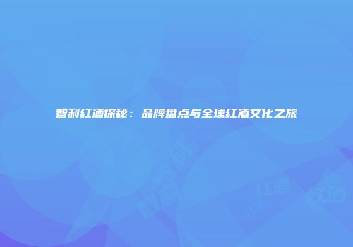 智利红酒探秘：品牌盘点与全球红酒文化之旅