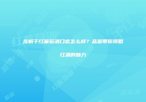 龙帆干红葡萄酒口感怎么样？品鉴带你领略红酒的魅力
