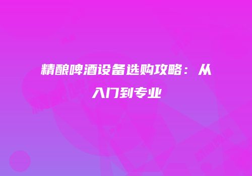精酿啤酒设备选购攻略：从入门到专业