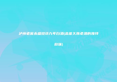 泸州老窖永盛烧坊九年白酒(品鉴久陈老酒的独特韵味)