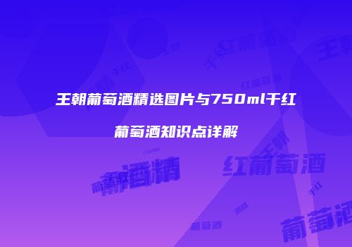 王朝葡萄酒精选图片与750ml干红葡萄酒知识点详解