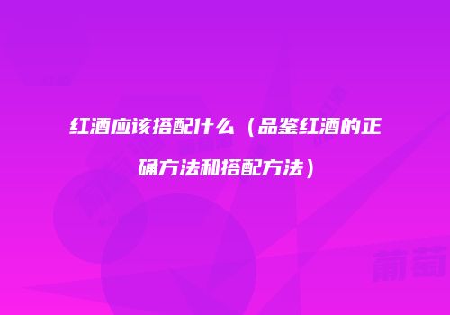 红酒应该搭配什么（品鉴红酒的正确方法和搭配方法）