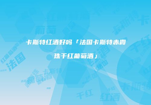 卡斯特红酒好吗「法国卡斯特赤霞珠干红葡萄酒」