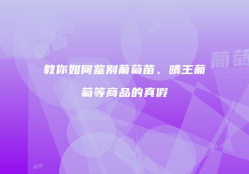 教你如何鉴别葡萄苗、晴王葡萄等商品的真假