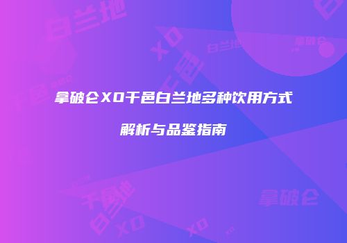 拿破仑XO干邑白兰地多种饮用方式解析与品鉴指南
