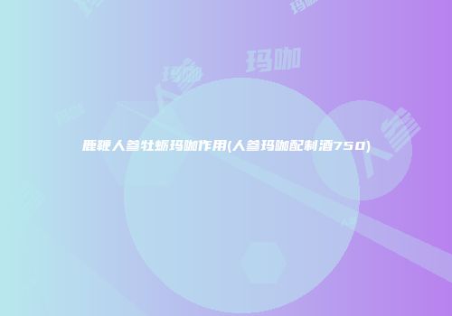 鹿鞭人参牡蛎玛咖作用(人参玛咖配制酒750)