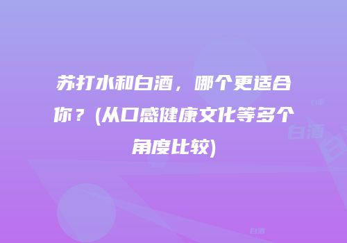 苏打水和白酒，哪个更适合你？(从口感健康文化等多个角度比较)