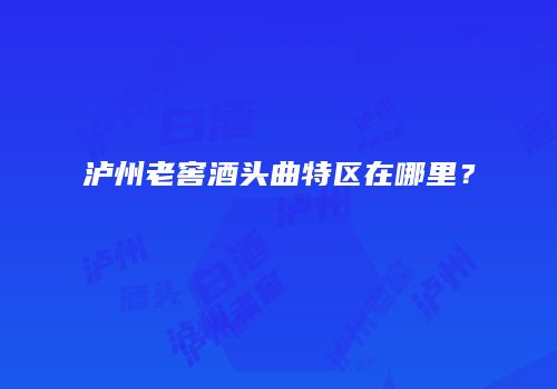 泸州老窖酒头曲特区在哪里？