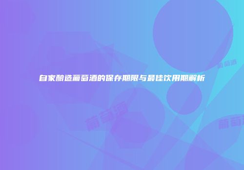 自家酿造葡萄酒的保存期限与最佳饮用期解析