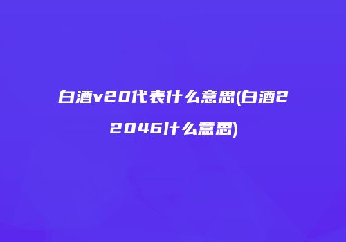 白酒v20代表什么意思(白酒22046什么意思)
