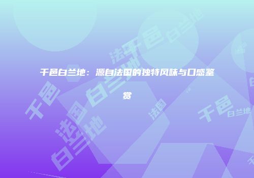 干邑白兰地：源自法国的独特风味与口感鉴赏