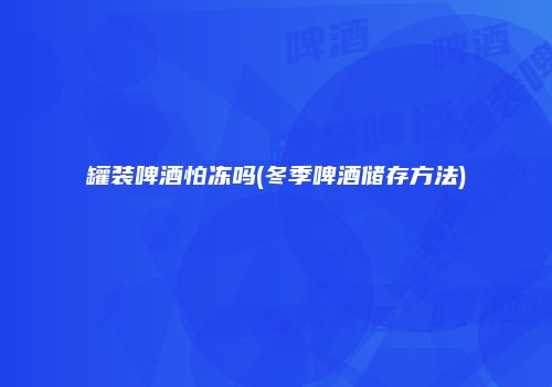 罐装啤酒怕冻吗(冬季啤酒储存方法)