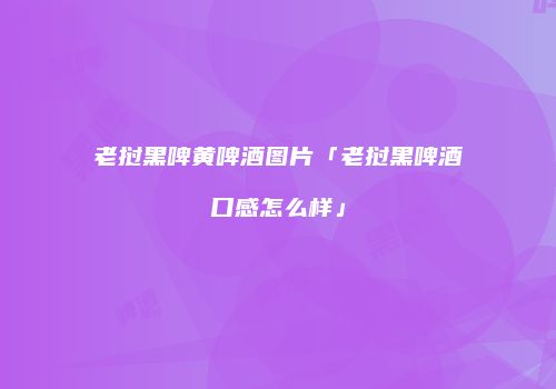 老挝黑啤黄啤酒图片「老挝黑啤酒口感怎么样」