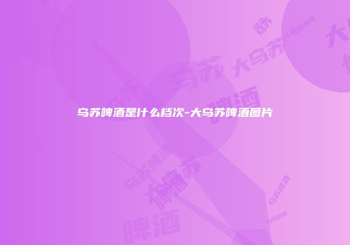 乌苏啤酒是什么档次-大乌苏啤酒图片