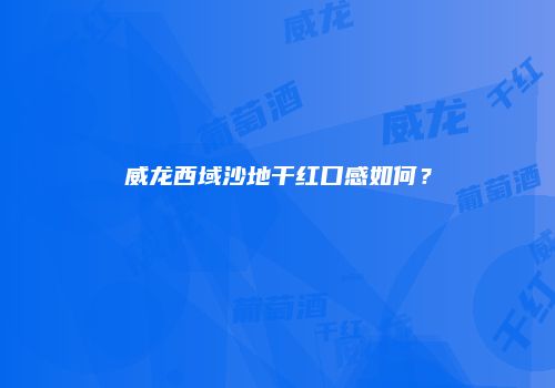 威龙西域沙地干红口感如何？