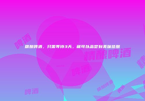 精酿啤酒，只需等待3天，就可以品尝到美味佳酿