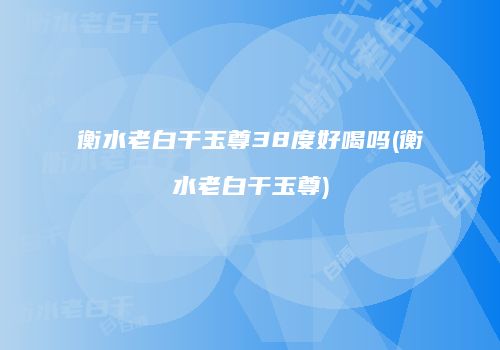 衡水老白干玉尊38度好喝吗(衡水老白干玉尊)