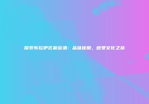 探索布拉伊区葡萄酒：品味佳酿，感受文化之旅