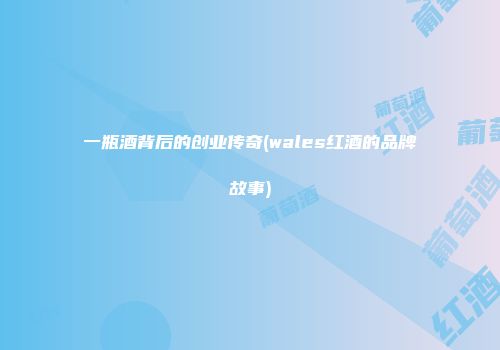 一瓶酒背后的创业传奇(wales红酒的品牌故事)