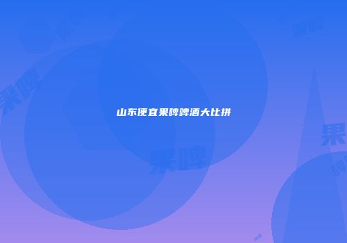 山东便宜果啤啤酒大比拼