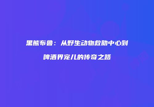 黑熊布鲁：从野生动物救助中心到啤酒界宠儿的传奇之路