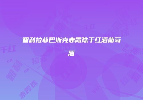 智利拉菲巴斯克赤霞珠干红酒葡萄酒