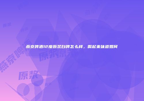燕京啤酒12度原浆白啤怎么样，喝起来味道如何