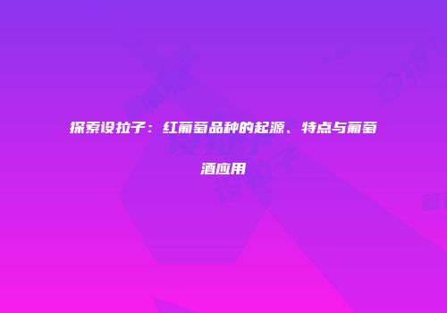 探索设拉子：红葡萄品种的起源、特点与葡萄酒应用