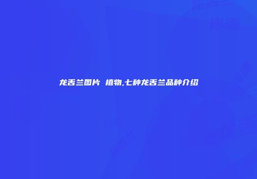 龙舌兰图片 植物,七种龙舌兰品种介绍