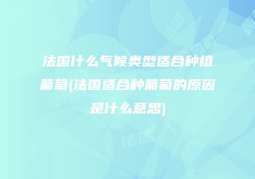 法国什么气候类型适合种植葡萄(法国适合种葡萄的原因是什么意思)