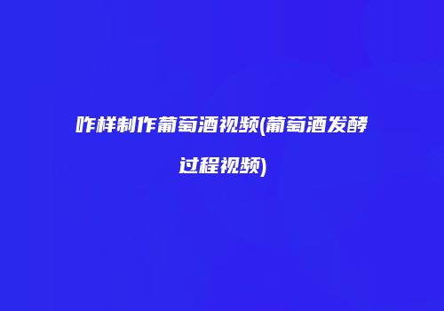 咋样制作葡萄酒视频(葡萄酒发酵过程视频)