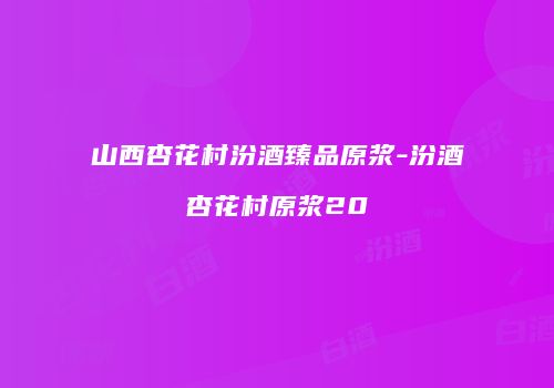 山西杏花村汾酒臻品原浆-汾酒杏花村原浆20