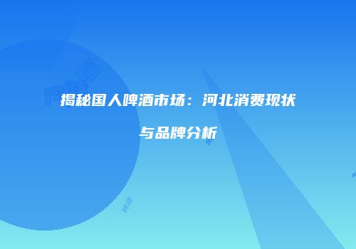 揭秘国人啤酒市场：河北消费现状与品牌分析
