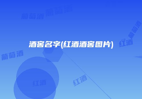 酒窖名字(红酒酒窖图片)