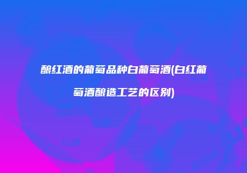 酿红酒的葡萄品种白葡萄酒(白红葡萄酒酿造工艺的区别)