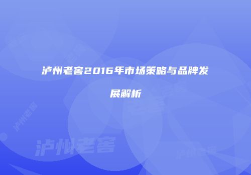 泸州老窖2016年市场策略与品牌发展解析