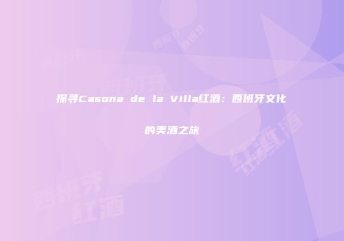 探寻Casona de la Villa红酒：西班牙文化的美酒之旅