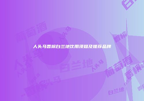 人头马香槟白兰地饮用须知及推荐品牌