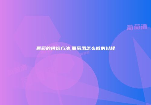 葡萄的挑选方法,葡萄酒怎么做的过程