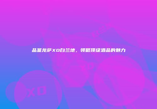 品鉴龙萨XO白兰地，领略顶级酒品的魅力