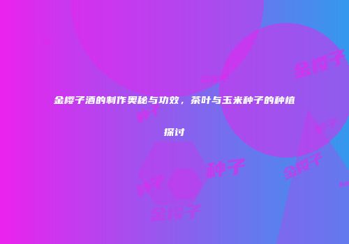 金樱子酒的制作奥秘与功效，茶叶与玉米种子的种植探讨