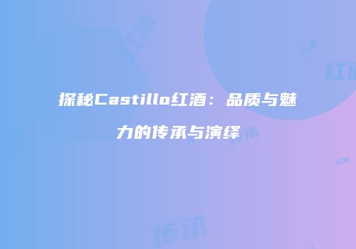 探秘Castillo红酒：品质与魅力的传承与演绎
