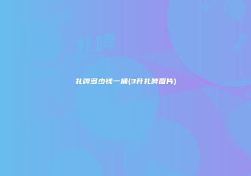 扎啤多少钱一桶(3升扎啤图片)