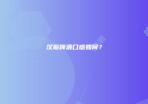 汉斯啤酒口感如何？