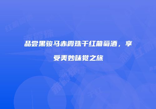 品尝黑骏马赤霞珠干红葡萄酒，享受美妙味觉之旅