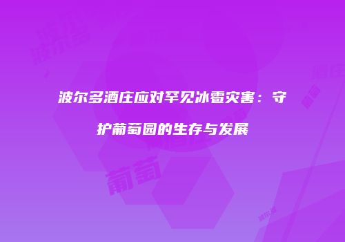 波尔多酒庄应对罕见冰雹灾害：守护葡萄园的生存与发展