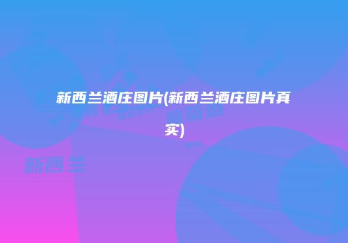 新西兰酒庄图片(新西兰酒庄图片真实)
