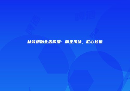 林肯精酿全麦啤酒：醇正风味，匠心独运